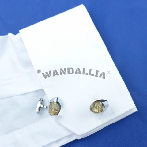 WANDALLIA SP-MN-661