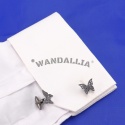 WANDALLIA SP-MN-842
