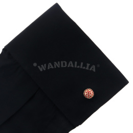 WANDALLIA SP-MN-905