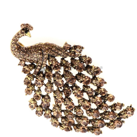 WANDALLIA BRO-PTK-11