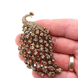 WANDALLIA BRO-PTK-11