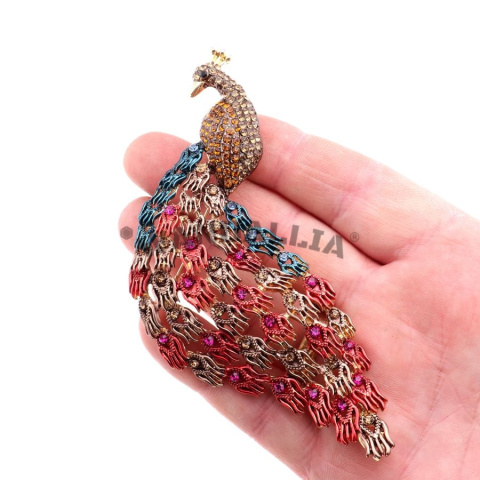 WANDALLIA BRO-PTK-12