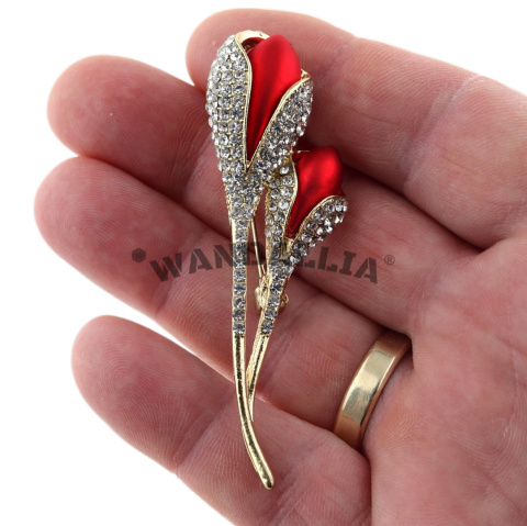 WANDALLIA BRO-KWT-25